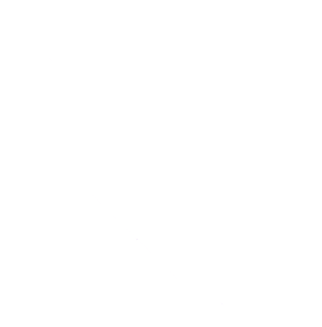 Web Rocket Dev Logo